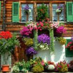 Balkonlarınızı rengarenk çiçek bahçelerine dönüştürün