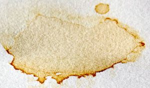 Kahve lekesi nasıl çıkar? - Kadın Pasaj